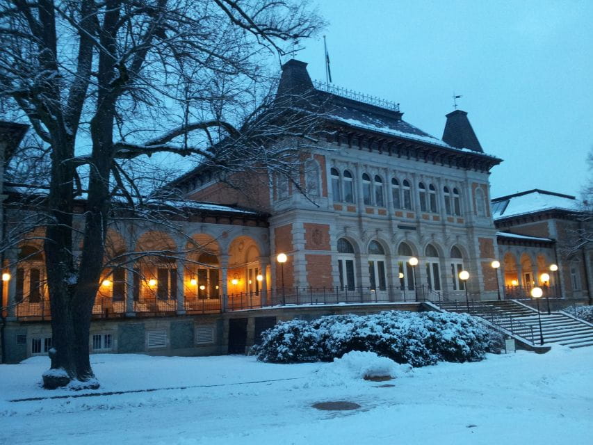 From Leipzig: Vogtland Music Day Trip - Musical Heritage