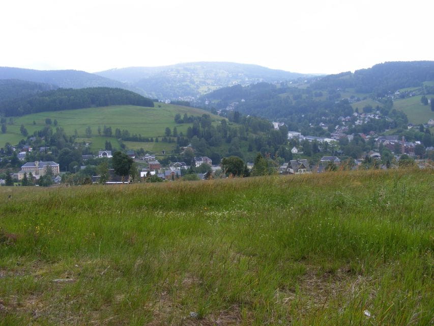 From Leipzig: Vogtland Music Day Trip - Instrument Makers