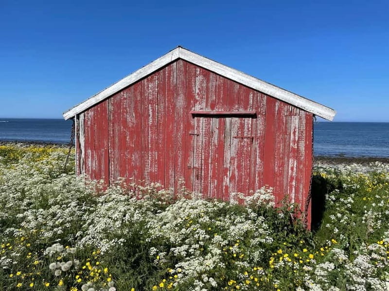 From Leknes: Lofoten Sightseeing Tour - Key Points / Takeaways