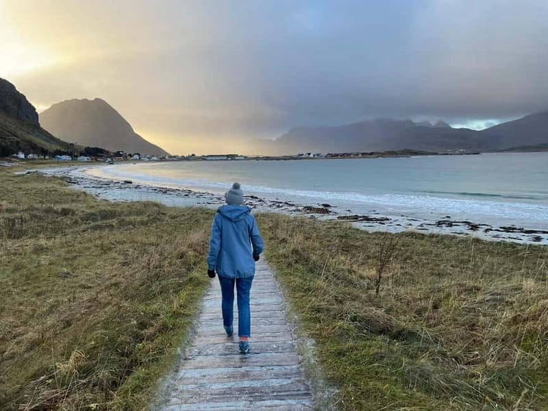 From Leknes: Lofoten Sightseeing Tour - Price and Value