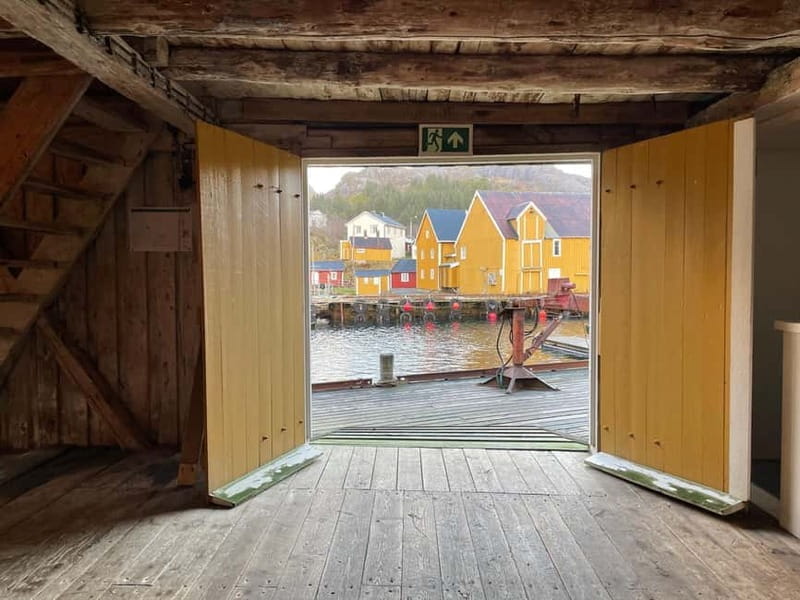 From Leknes: Lofoten Sightseeing Tour - Who Will Love This Tour?