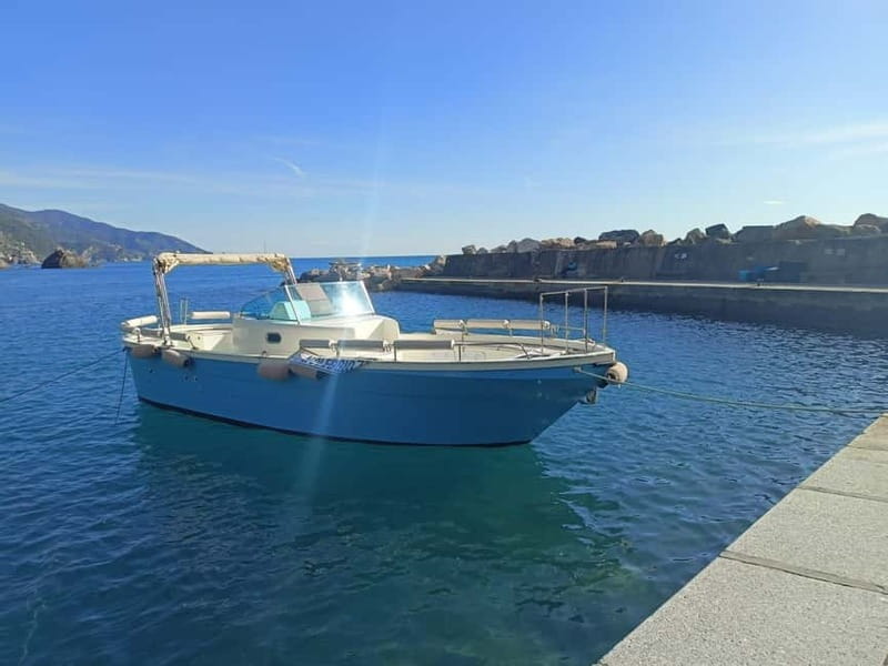 From Levanto and Monterosso: Guided Cinque Terre Boat Cruise - Entering the Cinque Terre: An Overview