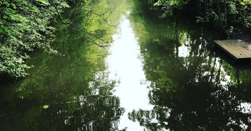 From Lilienthal: Full-Day Canoe Rental that Ends in Bremen - Who Is This Experience Best For?