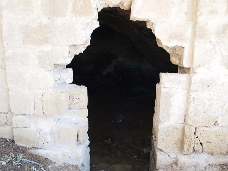 From Limassol Cruise Terminal: Shore Excursion to Paphos - Paphos Castle: A Fortress with a View