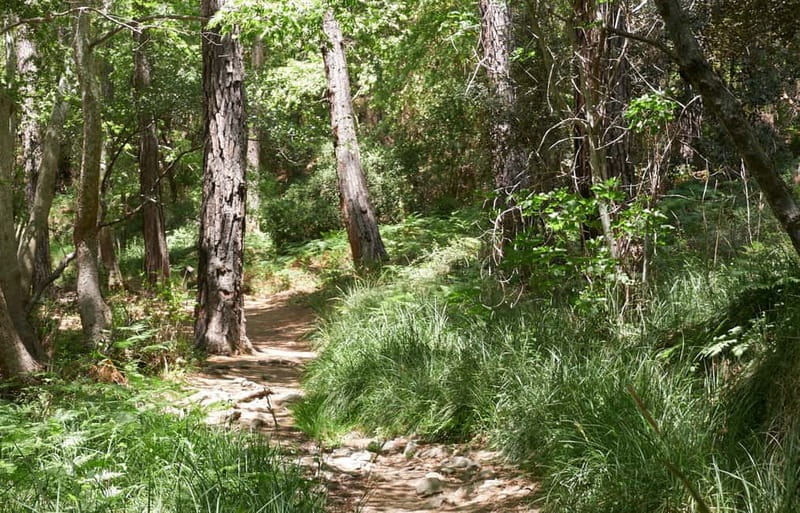 From Limassol: Private Tour Jeep Safari - An In-Depth Look at the Jeep Safari from Limassol