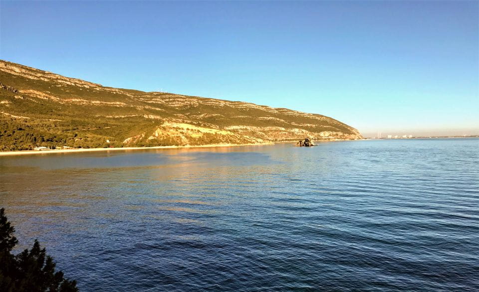 From Lisbon: Azeito Wine Cellar and Food-Tasting Tour - Moscatel Do Setúbal Wine