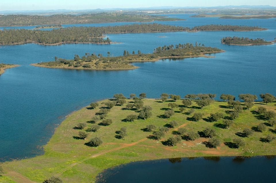 From Lisbon: Évora and Monsaraz Day Tour With Wine Tasting - Admire Évora Cathedral