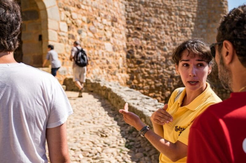 From Lisbon: Knights Templar Day Tour in Tomar - Who Will Love This Tour?