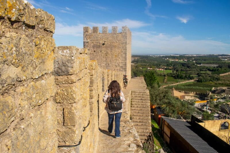 From Lisbon: Óbidos and Peniche Day Tour with Local Guide - Price and Value