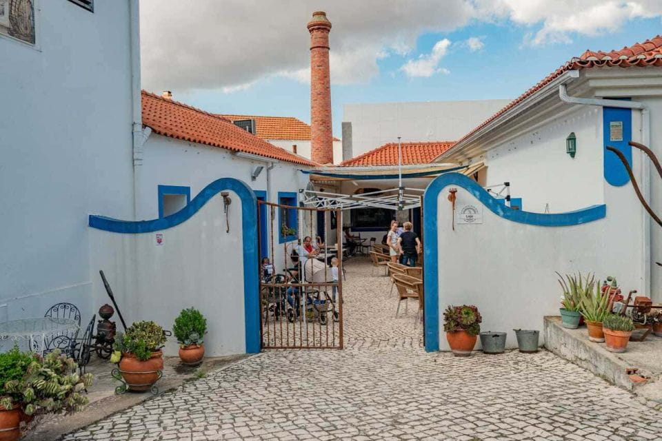 From Lisbon: Palmela Wine Tasting Tour With Snacks - Recap