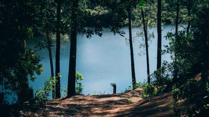 From Lisbon: Private Sintra Tour with a Local Guide - Lunch and Local Flavors