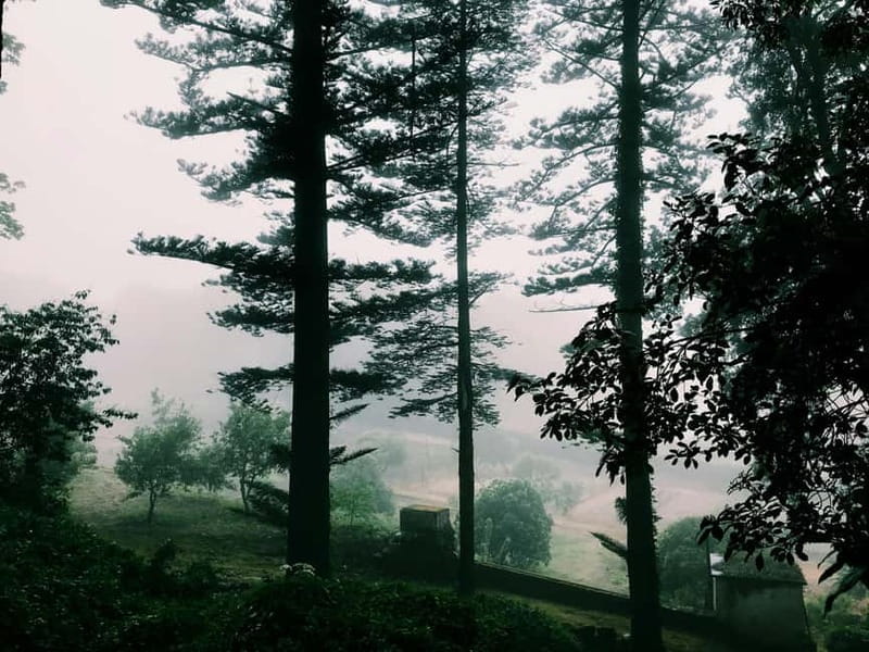 From Lisbon: Shared Sintra Tour with a Local Guide - Authentic Sintra: Exploring Town and Culinary Delights