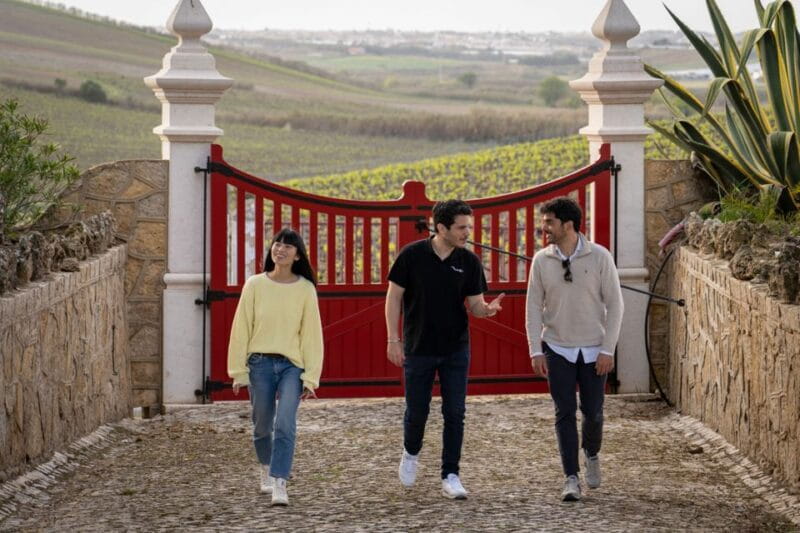 From Lisbon: Sintra & Pena Palace Day Trip with Wine Tasting - Final Thoughts: Is It Worth It?