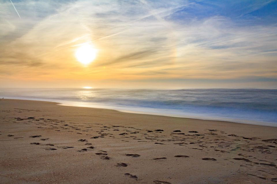 From Lisbon: Special Tour Arrábida and Sesimbra + Drone Videos - Languages and Cuisine