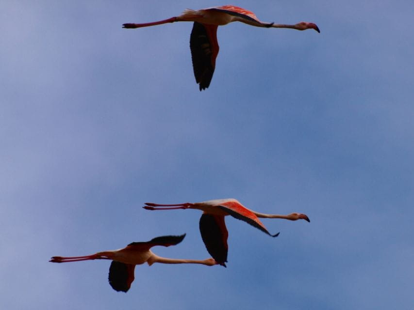 From Lisbon to Arrábida: Hidden Treasures & Blue Coast - Mourisca Water Mill: A Historical Waterscape