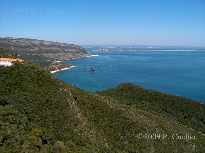 From Lisbon to Arrábida: Hidden Treasures & Blue Coast - Livramento Market: Discovering Setubals Culinary Delights