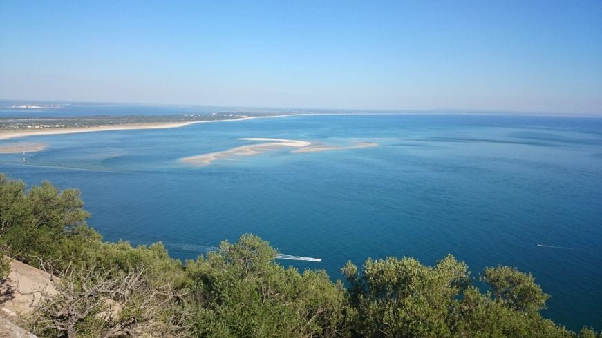 From Lisbon to Arrábida: Hidden Treasures & Blue Coast - Return to Lisbon: Reflections on the Days Discoveries