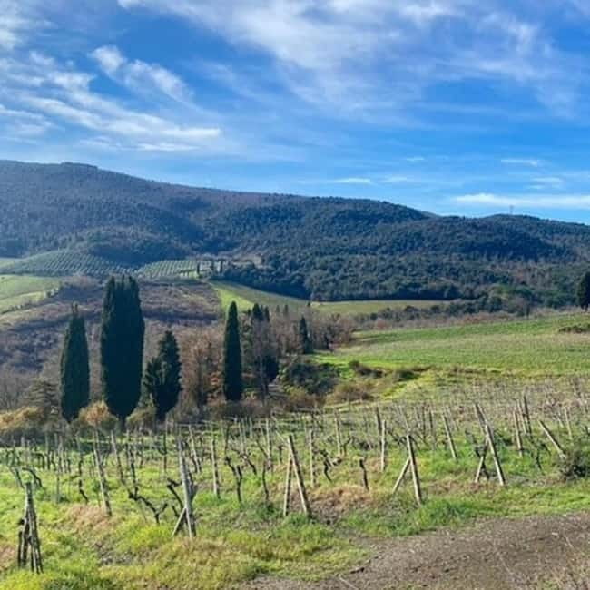 From Livorno: San Gimignano and Volterra Day Trip - Key Points / Takeaways