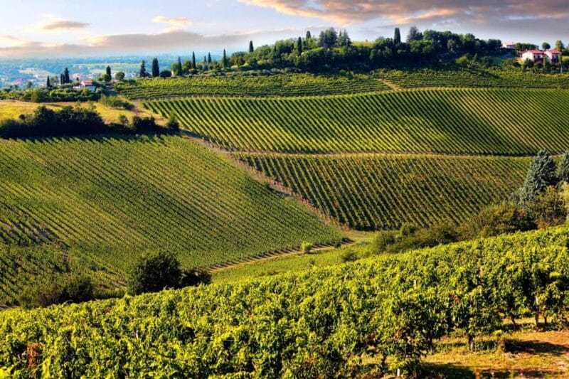 From Livorno: Siena, San Gimignano & Chianti Wine Excursions - Key points / Takeaways