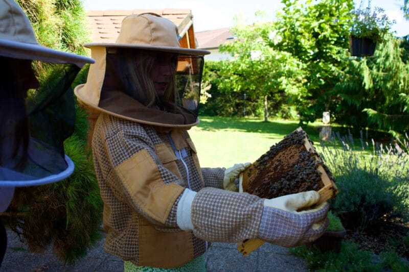 From Ljubljana: All About Bees - Summary: The Bottom Line