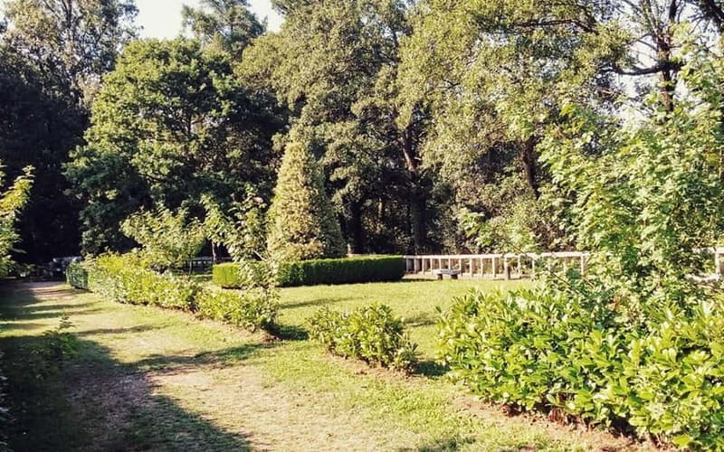 From Lugo: Half-day excursion to the Viladonga Hillfort - Practical Details and What to Expect