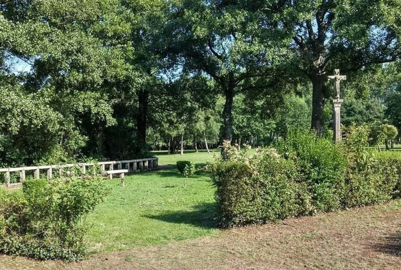 From Lugo: Half-day excursion to the Viladonga Hillfort - Final Thoughts