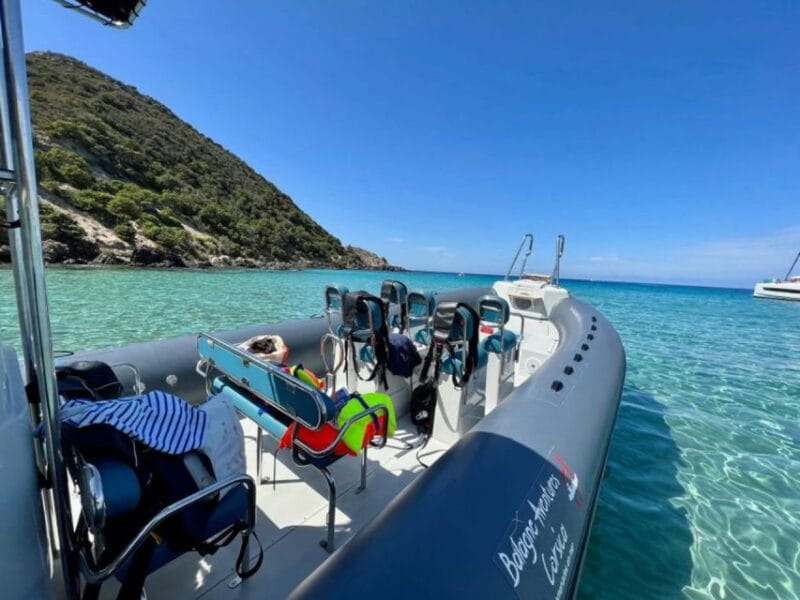 From Lumio: Les Agriates Desert Cruise with swimming - Exploring the Agriates Desert by Boat: A Detailed Review