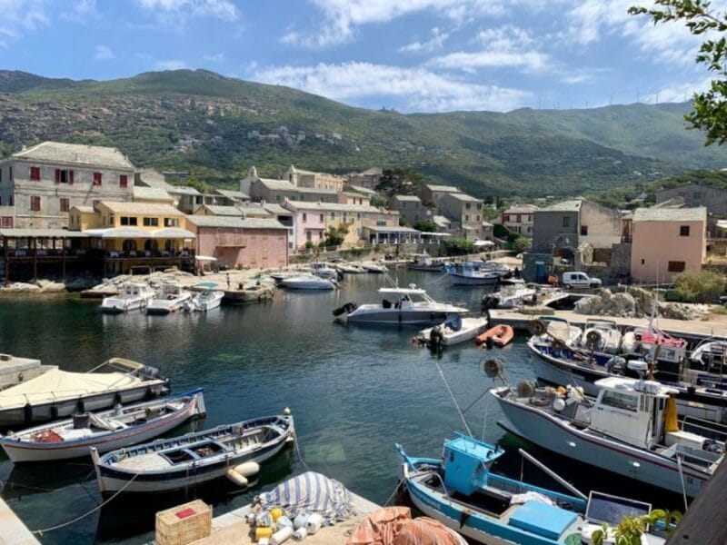 From Lumio: Les Agriates Desert Cruise with swimming - Price, Logistics, and Practical Tips