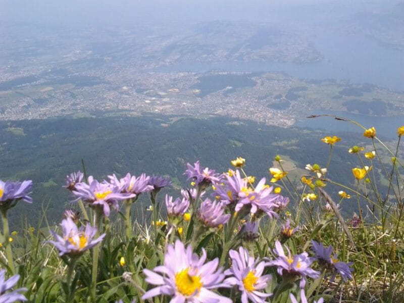 From Luzern:Small Group Tour Golden Roundtrip to Mt. Pilatus - Frequently Asked Questions