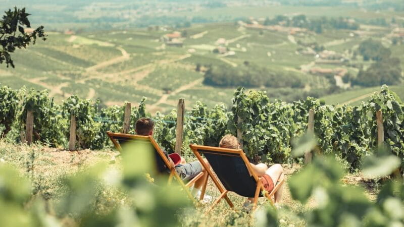 From Lyon : Beaujolais Private Day Tour by Vintage Defender - Price and Value: Is It Worth It?