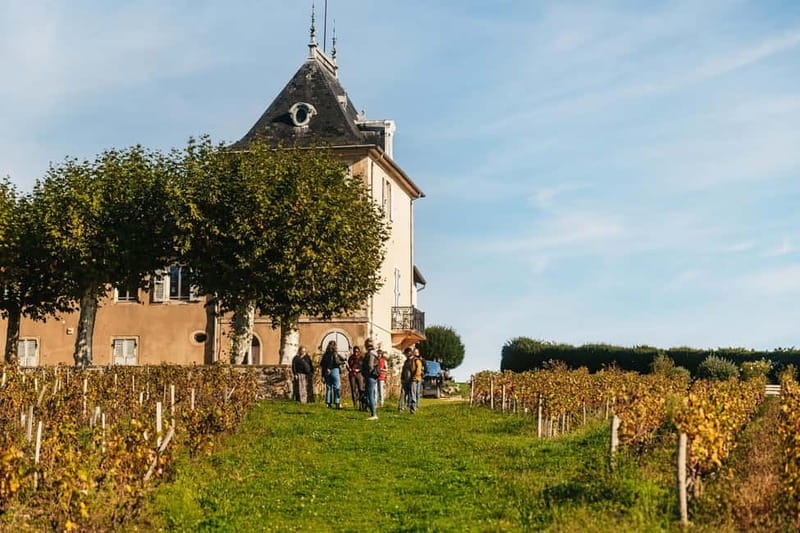 From Lyon: Beaujolais Wine Tour with Tastings - Exploring the Beaujolais Wine Tour from Lyon: A Genuine Taste of France’s Famous Region