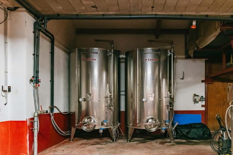 From Lyon: Golden Stones Beaujolais Wine Tasting Tour - Final Thoughts