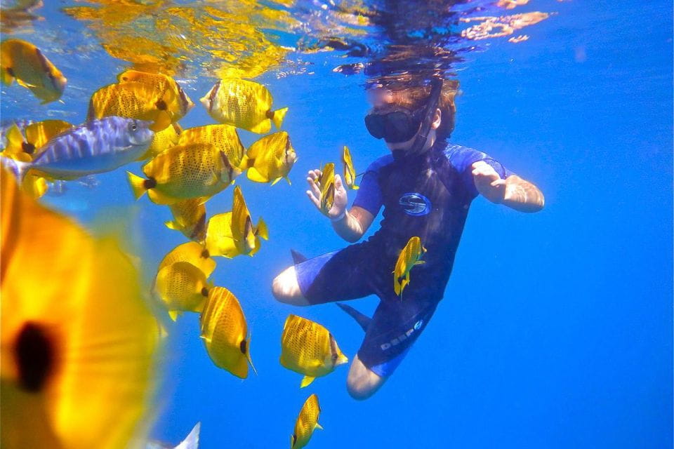 From Maalaea: Turtle Town Snorkel Aboard the Quicksilver - Departure and Duration