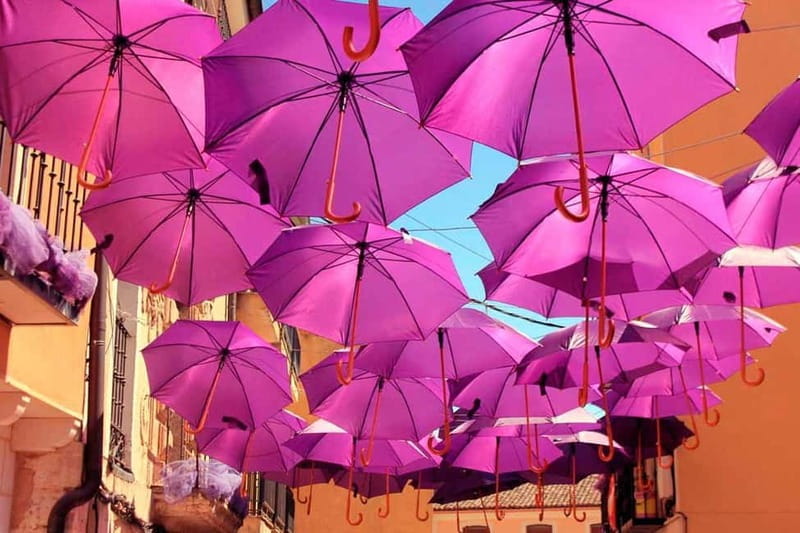 From Madrid: Brihuega Lavender Fields Guided Tour - A Look at the Brihuega Lavender Fields Tour: Beauty, Convenience, and Authentic Charm