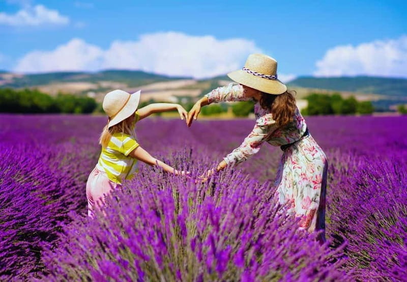 From Madrid: Brihuega Lavender Fields Guided Tour - Final Thoughts: A Fragrant, Picturesque Escape