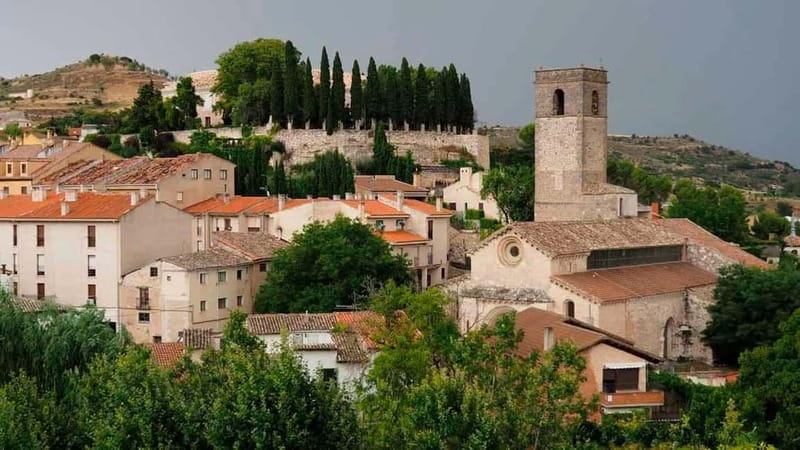From Madrid: Brihuega Lavender Fields Guided Tour - Frequently Asked Questions
