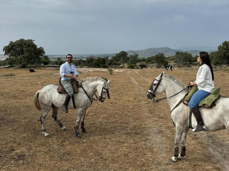From Madrid: Horseback riding Experience - Key points / Takeaways