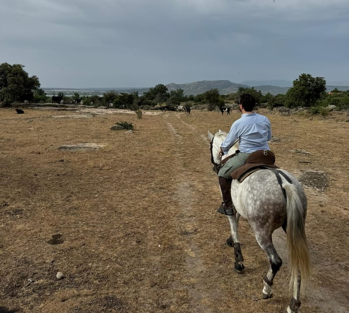 From Madrid: Horseback riding Experience - Exploring Madrid on Horseback: An In-Depth Review