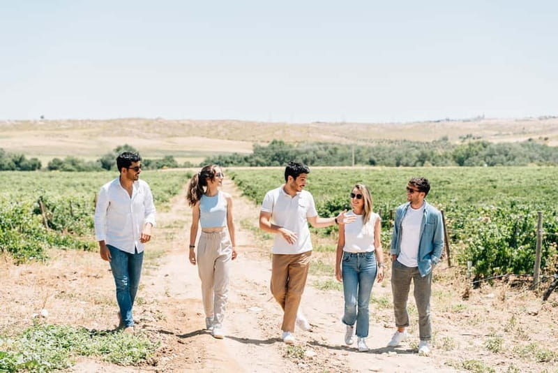 From Madrid: Toledo Guided Tour & Winery Visit with Tasting - Who is This Tour Perfect For?