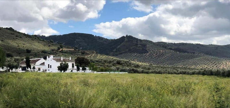From Malaga: Antequera Heritage and Oil Mill land - Discovering the Heritage of Antequera