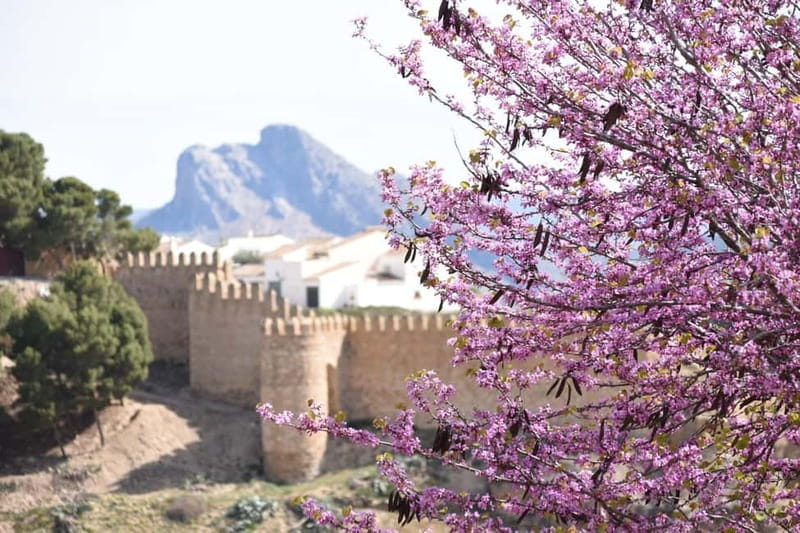From Malaga: Antequera Heritage and Oil Mill land - Who Will Love This Tour?