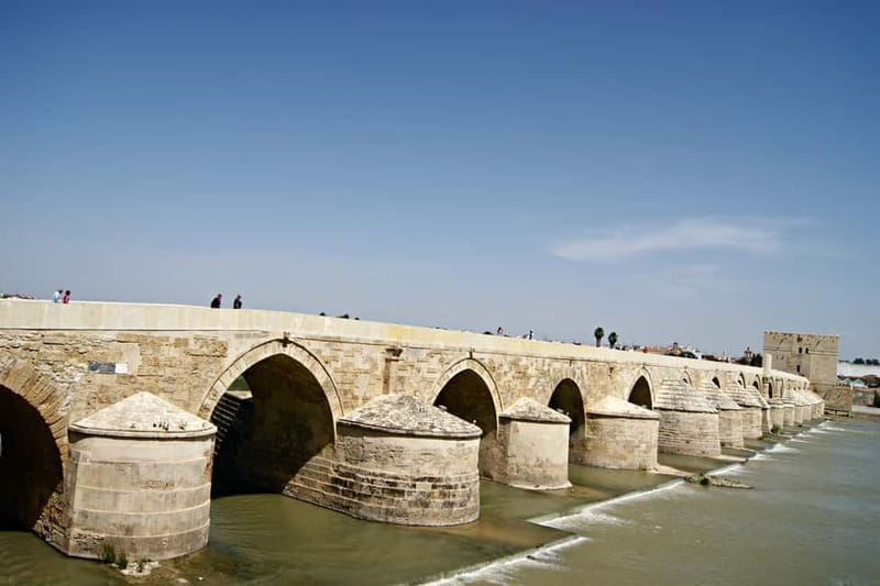 From Málaga: Córdoba Mosque Guided Tour - Who Will Love This Tour?