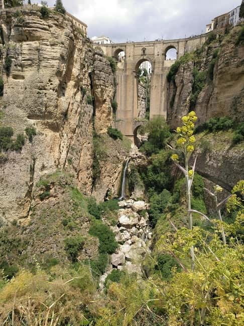 From Malaga & Costa del Sol: 5-Day Andalusia Adventure - Final Thoughts