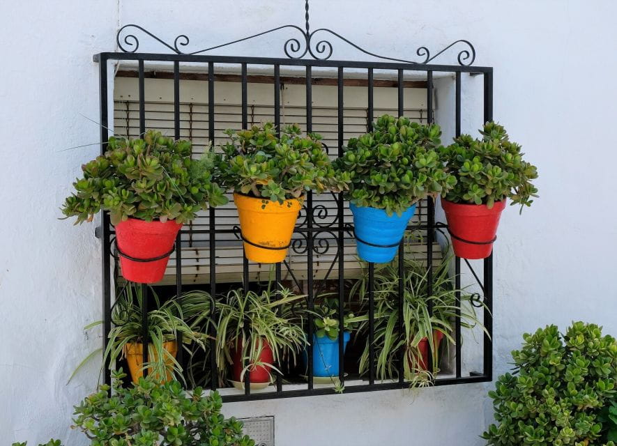 From Málaga / Costa Del Sol: Trip to Nerja & Frigiliana - Itinerary Highlights