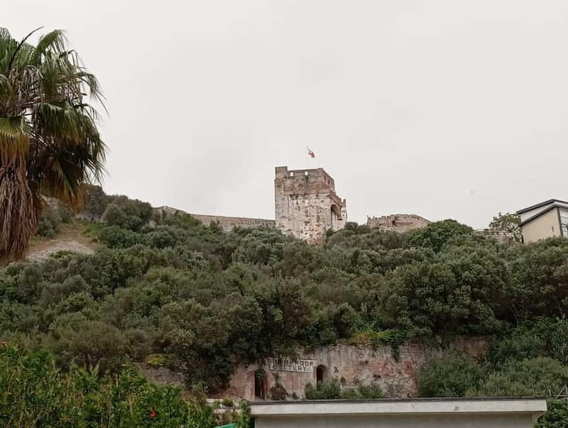 From Málaga: Gibraltar Day Trip - Tips from the Reviews and Guides