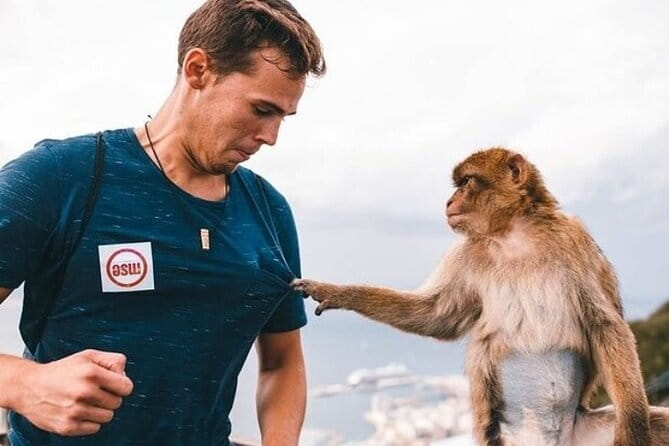 From Malaga, Gibraltar excursion with transport - Exploring Gibraltar Town