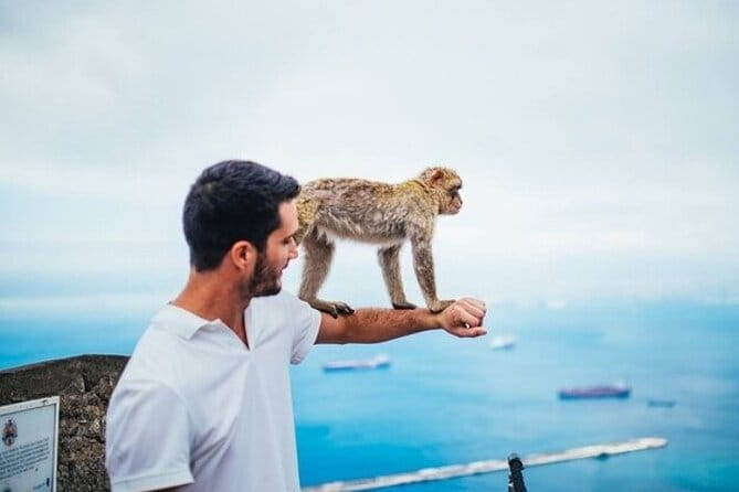 From Malaga, Gibraltar excursion with transport - FAQ