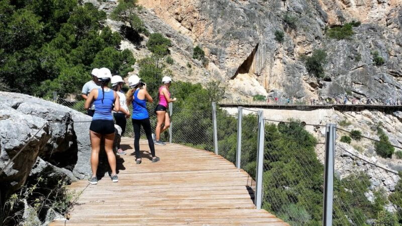 From Malaga: Group Tour to Caminito del Rey - Who Will Love This Tour?
