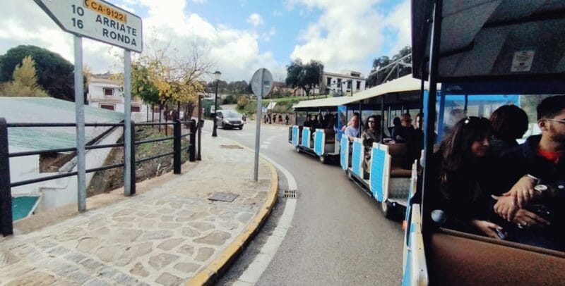 From Malaga: Ronda and Setenil Tour with Tourist Train - Price and Logistics: Good Value for a Full Day