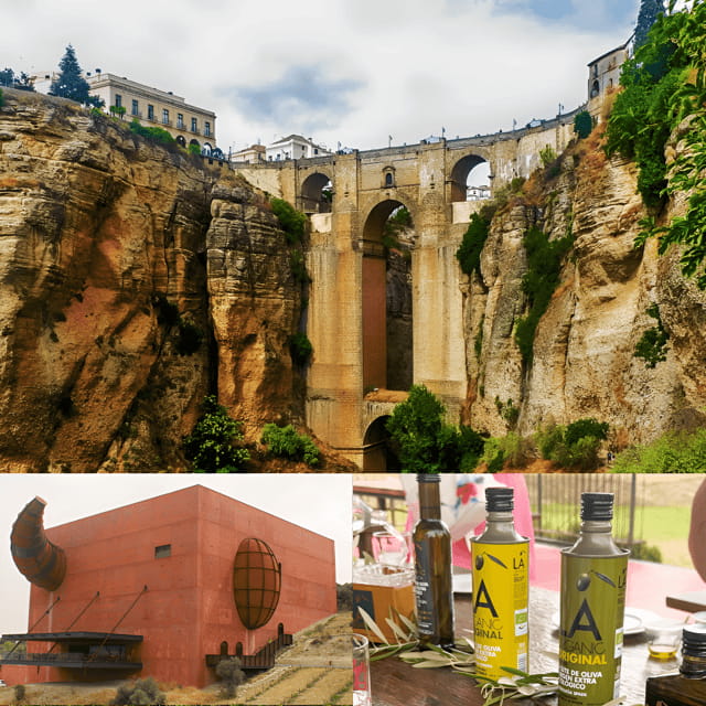 From Málaga: Ronda Experience with oil tasting - Who This Tour Is Best For